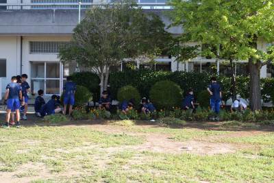 20250906_072218_0001