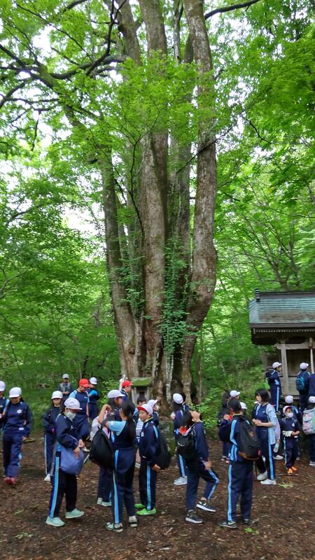 雨が降らず、登山に行くことができました